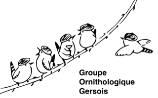 Logo Groupe Ornithologique Gersois