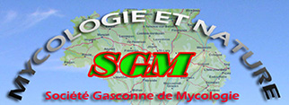 Logo S.G.M